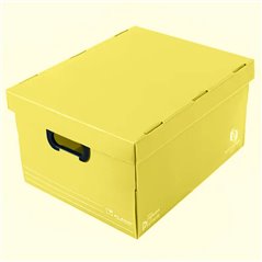 Caja plástica con tapa grande Plana 804 45,5x35,5x25,5 cm - Pack x10