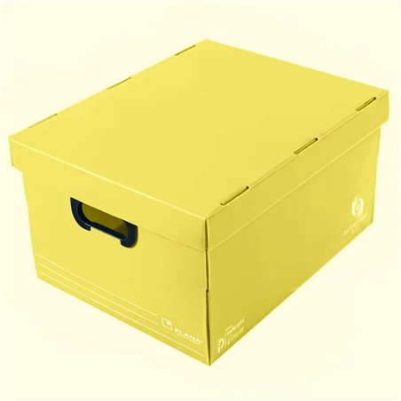 Caja plástica con tapa grande Plana 804 45,5x35,5x25,5 cm - Pack x10