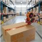 Cinta Frágil Naranja para embalaje adhesiva 48mm x 50m rollo Cinta Frágil Naranja para embalaje adhesiva 48mm x 50m rollo