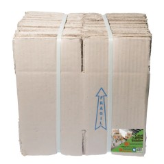 Cajas de cartón 12x12x12 plegadas planas en bulto de 25, listas para armar