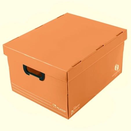 Caja organizadora grande con tapa Plana 804 (45,5×35,5×25,5 cm)