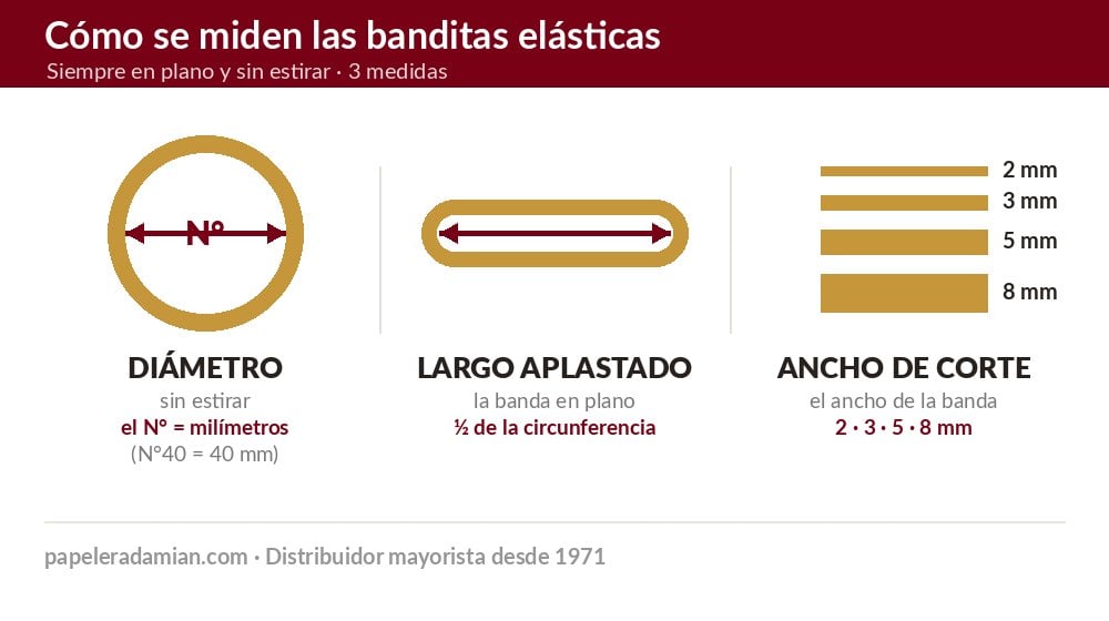 Cómo se miden las banditas elásticas: diámetro, largo aplastado y ancho de corte